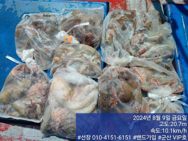 KakaoTalk_20240809_161608771_12.jpg