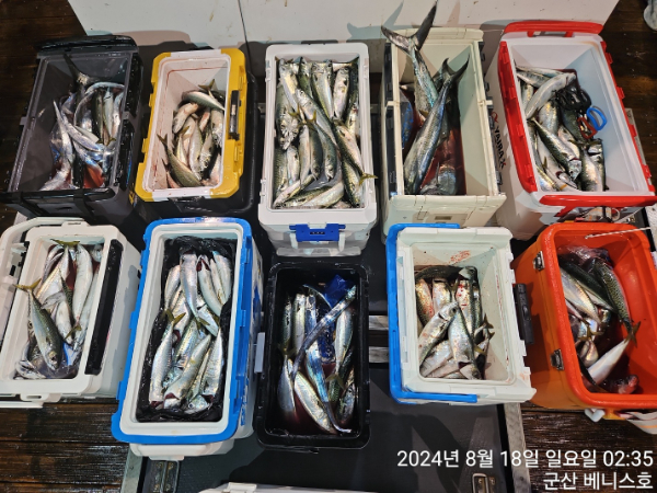 KakaoTalk_20240818_032105653_01.jpg