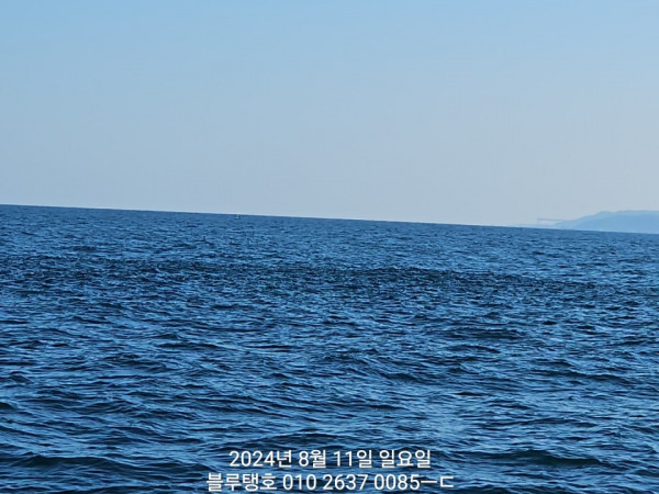 1000012540.jpg
