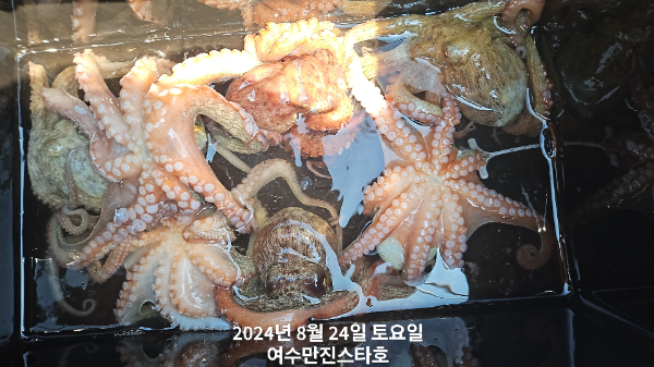 71a3d472562ba663b800ce0eccc41459.jpg