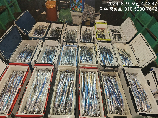 72aa3552ba3dbc47e5971fd655c11334.jpeg