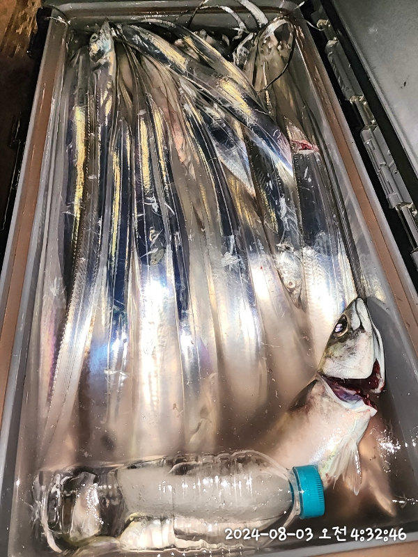 76f218e7c7ed00df8581b1954065c6e4.jpg