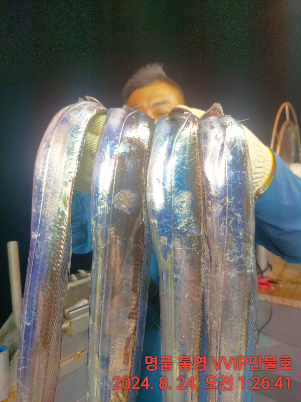 BandPhoto_2024_08_24_04_45_31_15.jpg