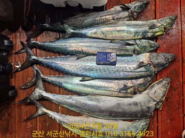 KakaoTalk_20240820_062137772_04.jpg