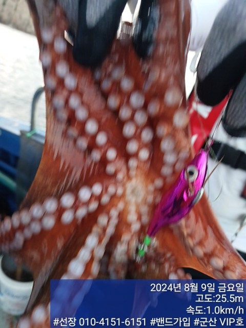 KakaoTalk_20240809_161608771_19.jpg