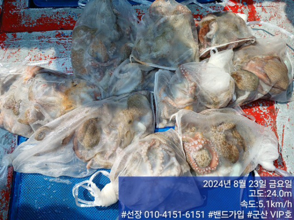 KakaoTalk_20240823_154057277_02.jpg