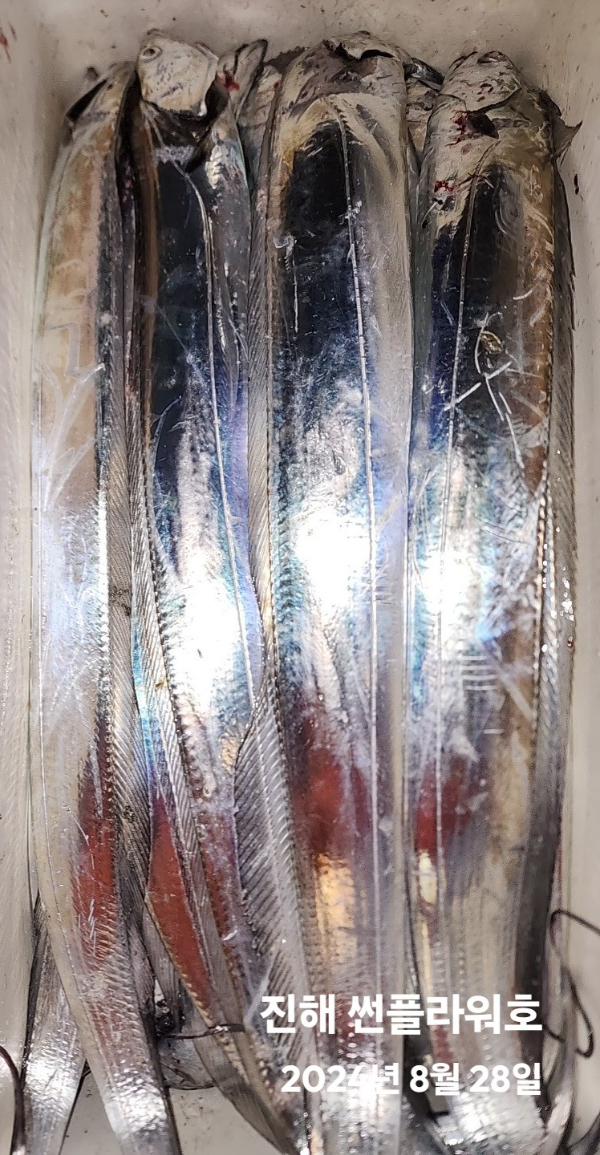 1000047380.jpg