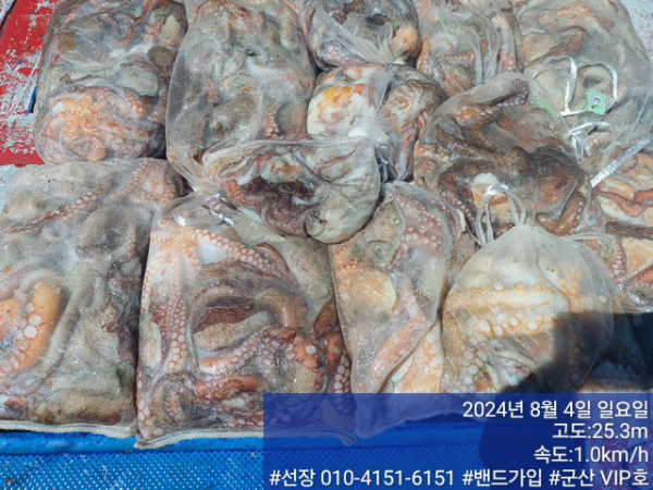 KakaoTalk_20240804_145406590_13.jpg