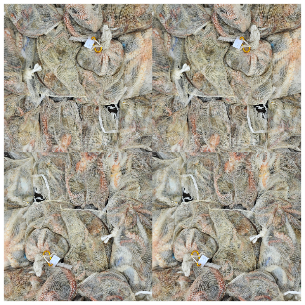 89f8dd9894212cf4cbea0c12ccfbaf3f.jpg