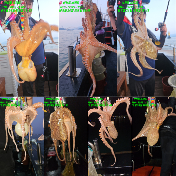 KakaoTalk_20240825_022721326_01.jpg