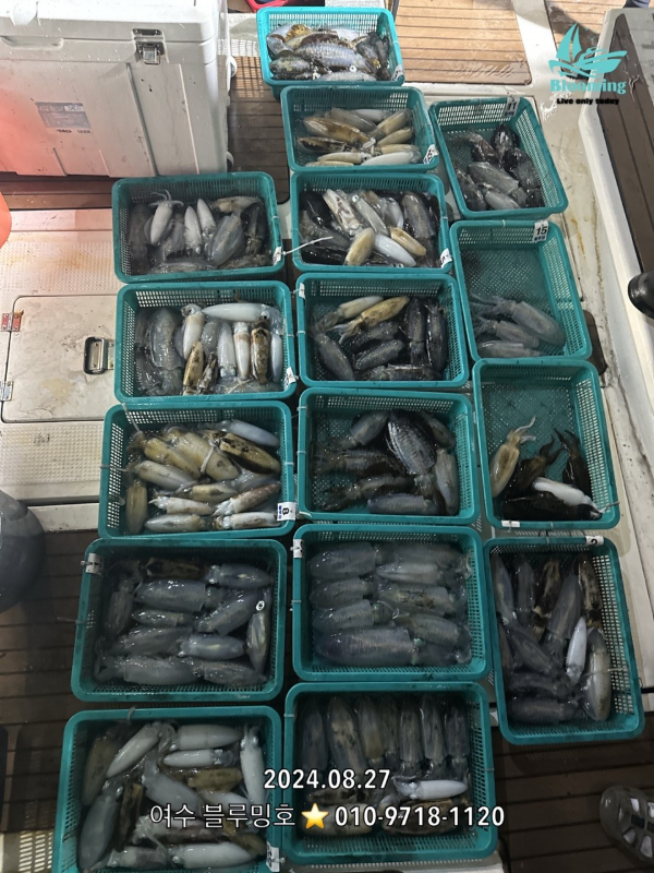 여수 블루밍호_사진_20240827_1.jpg