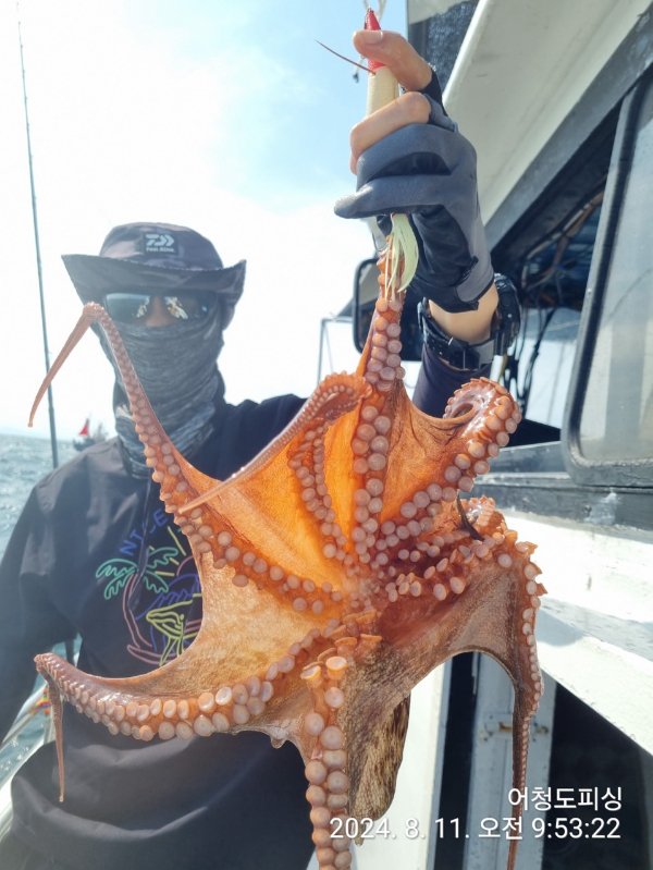 BandPhoto_2024_08_12_05_49_58_9.jpg