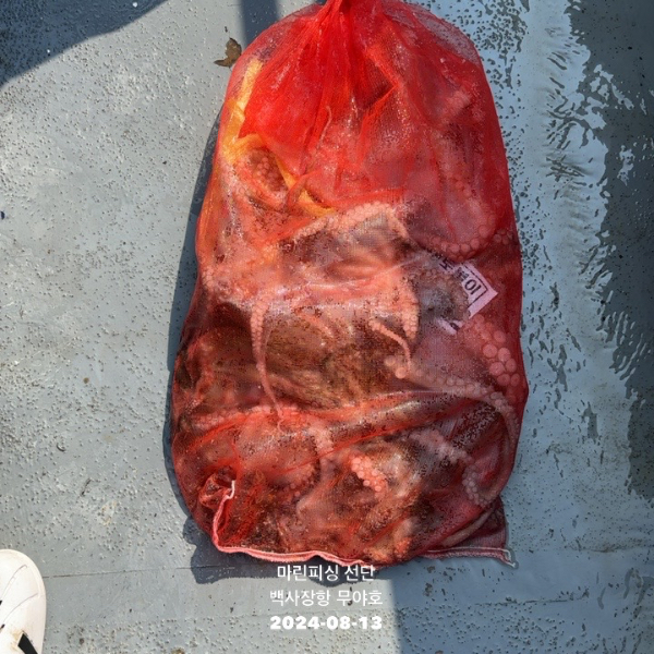 TC_05364.jpeg