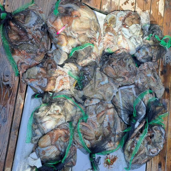 KakaoTalk_20240816_152543797.jpg