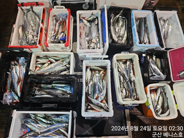 KakaoTalk_20240824_032627529_02.jpg