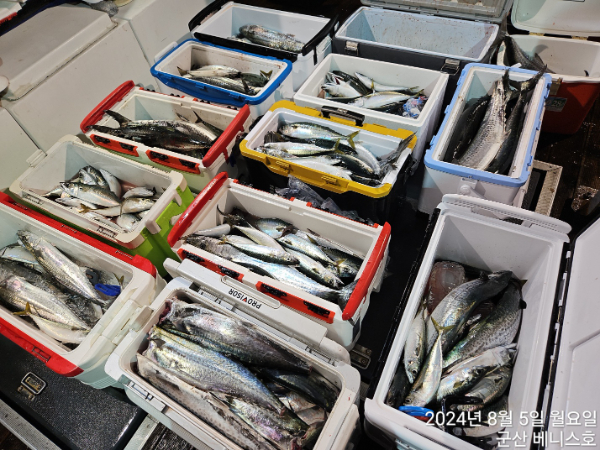 KakaoTalk_20240805_041404487.jpg