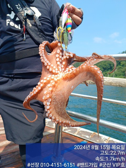 KakaoTalk_20240815_150340870_16.jpg