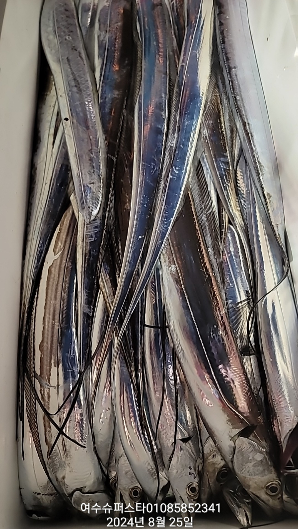ab76d553d992c1228cb48fe9b17d12a5.jpg