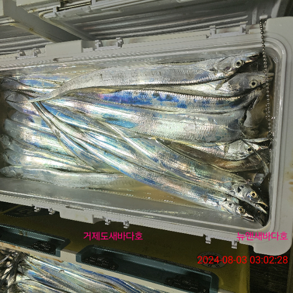 aba91c632b2fed9c6c9fab6a0c438ef0.jpg