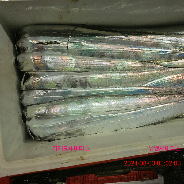 abb883b771672941831ee64e1dbf4262.jpg
