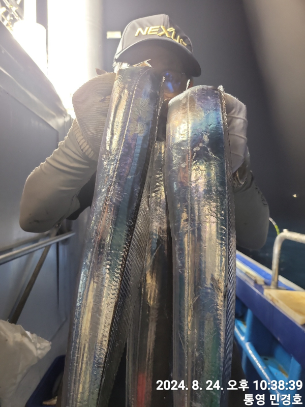 1724532276894-8.jpg