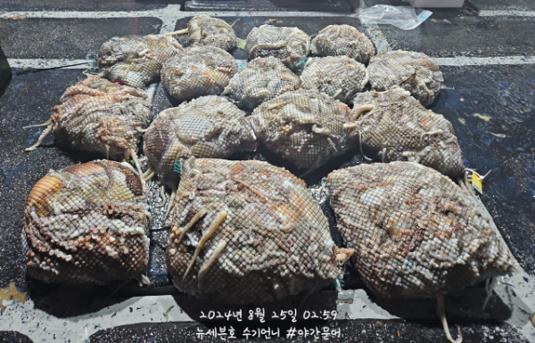 8_4hbUd018svc4c6l1as6072q_82sd02.jpg