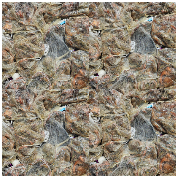 ae6863aa4a59a243b935f741a897efea.jpg