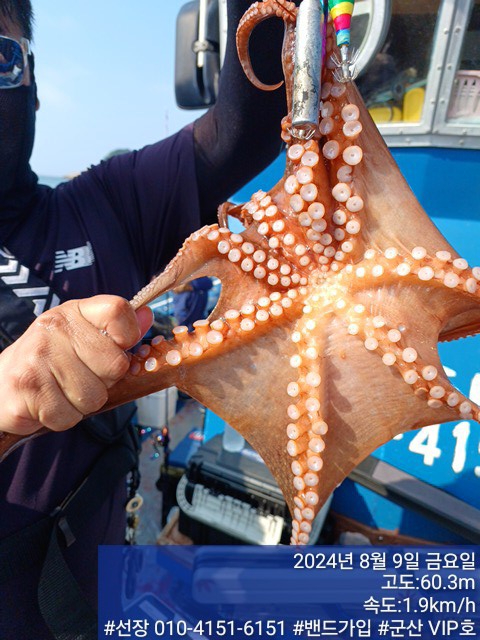 KakaoTalk_20240809_161608771_16.jpg