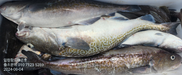 b6815ef91264e0e86a99e18d57267cd1.jpg