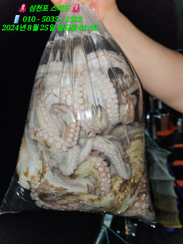 KakaoTalk_20240825_022711997.jpg