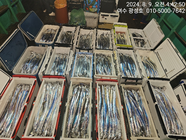 c2714012f0bc7e05c6943de19275f551.jpeg