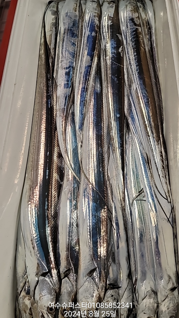 c2c2b0d20d315aa758b5beb6944ac9a2.jpg