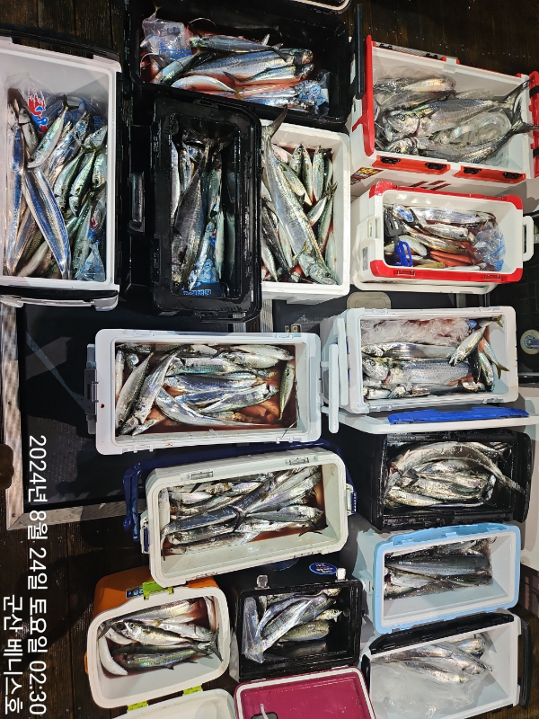 KakaoTalk_20240824_032627529_01.jpg