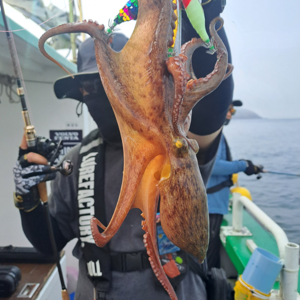 KakaoTalk_20240803_154651860_07.jpg