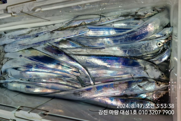 c7bda4ac0165ef2de9dc0a880e48f363.jpg