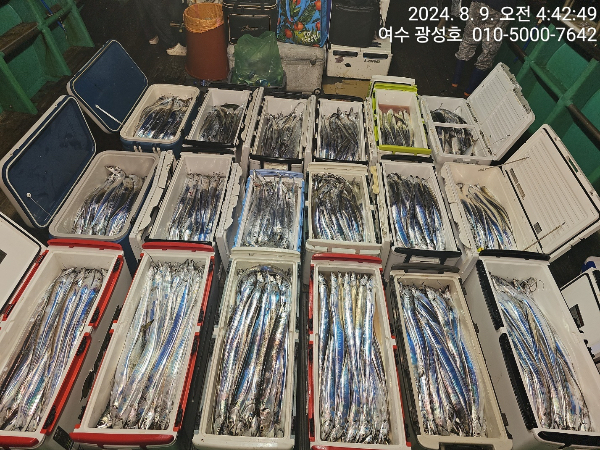c9029634a17d64c962463d1a6b78c349.jpeg