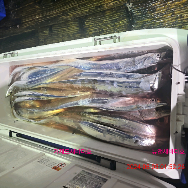 d1cf82fc83073104e1822492746886bd.jpg