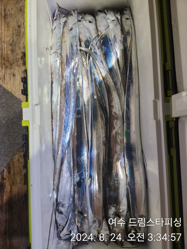 d9f6182440e37235e26a4c8c3f6b717f.jpg