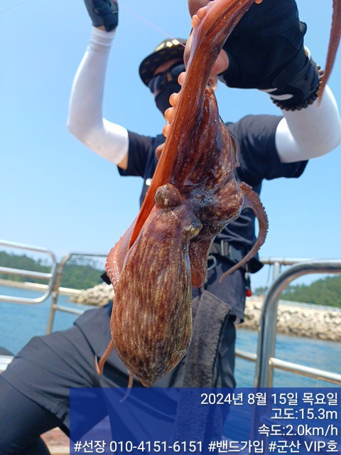 KakaoTalk_20240815_150340870_18.jpg