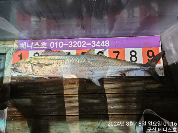 KakaoTalk_20240818_032626439.jpg