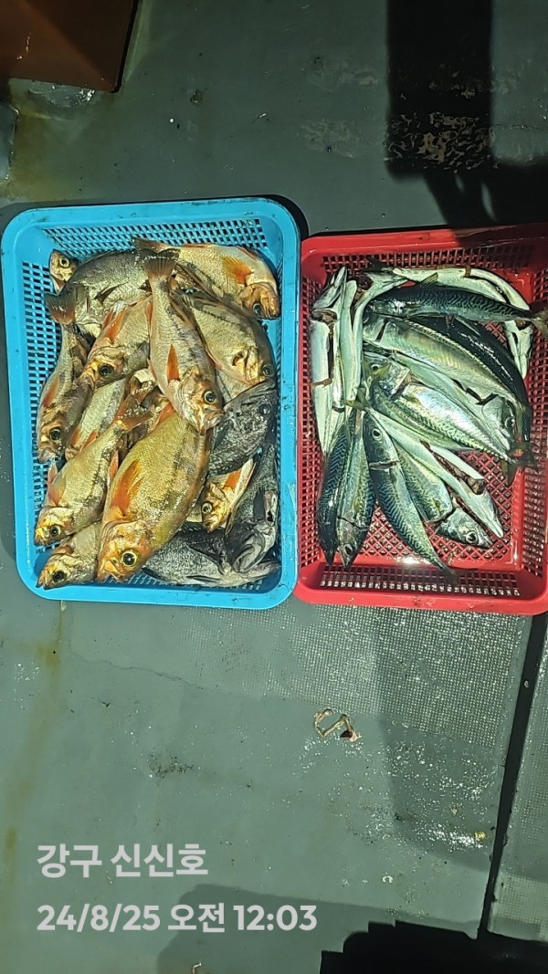 1000020938.jpg