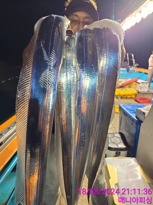1723983704101-11.jpg