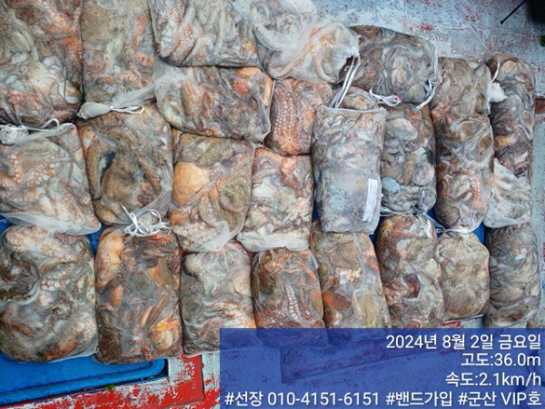 KakaoTalk_20240802_145807295_12.jpg