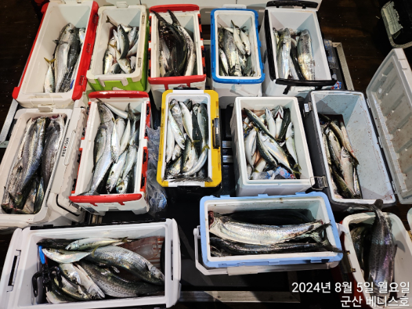 KakaoTalk_20240805_041404487_02.jpg