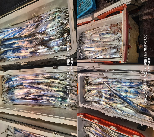 1723063387866-tile.jpg