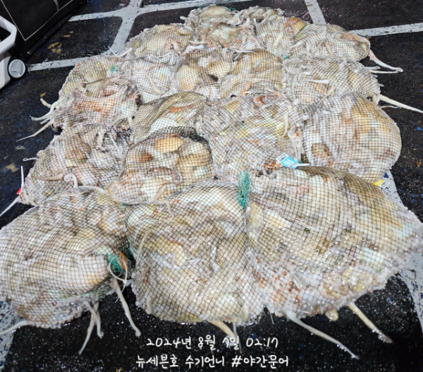 i_a7gUd018svc1efvjop3bfbbc_82sd02.jpg