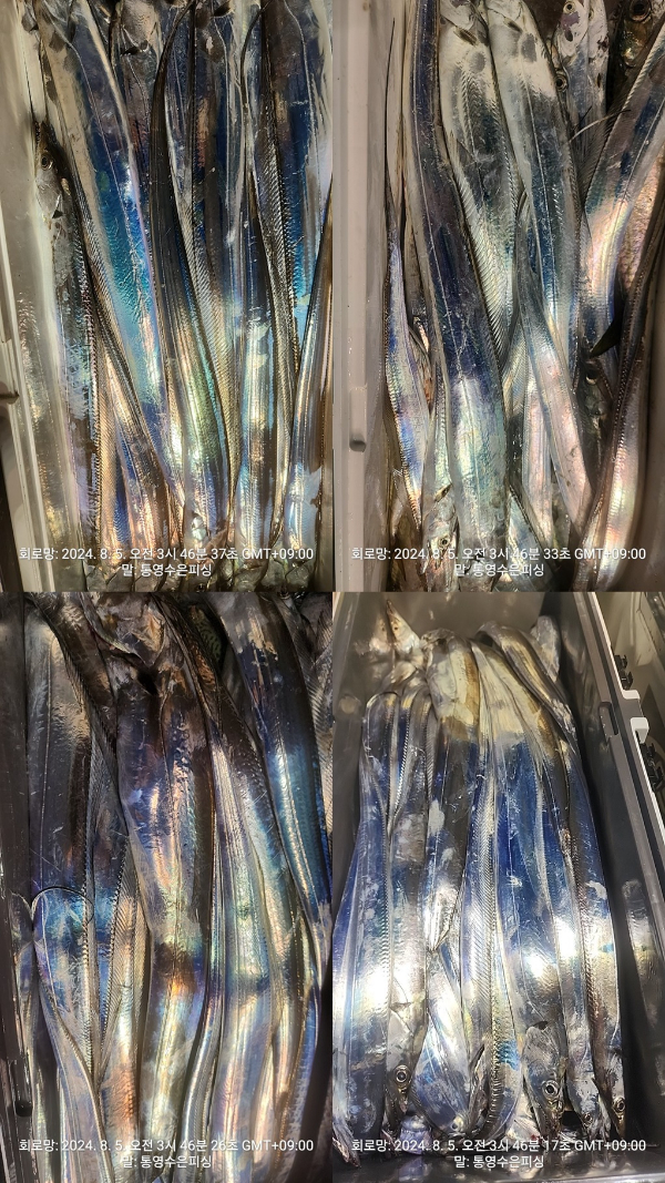 1722801801182-tile.jpg