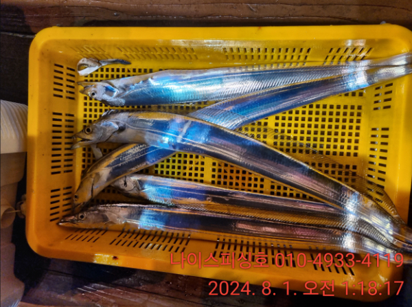 20240805_115835_9.jpg