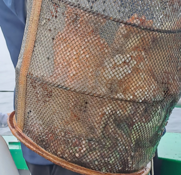 KakaoTalk_20240803_103456216_04.jpg