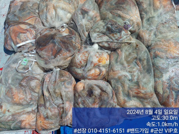KakaoTalk_20240804_145406590_09.jpg